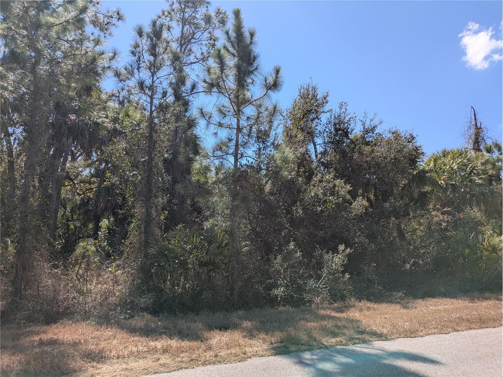 Bannock Circle North Port FL 34288 C7522333 image4