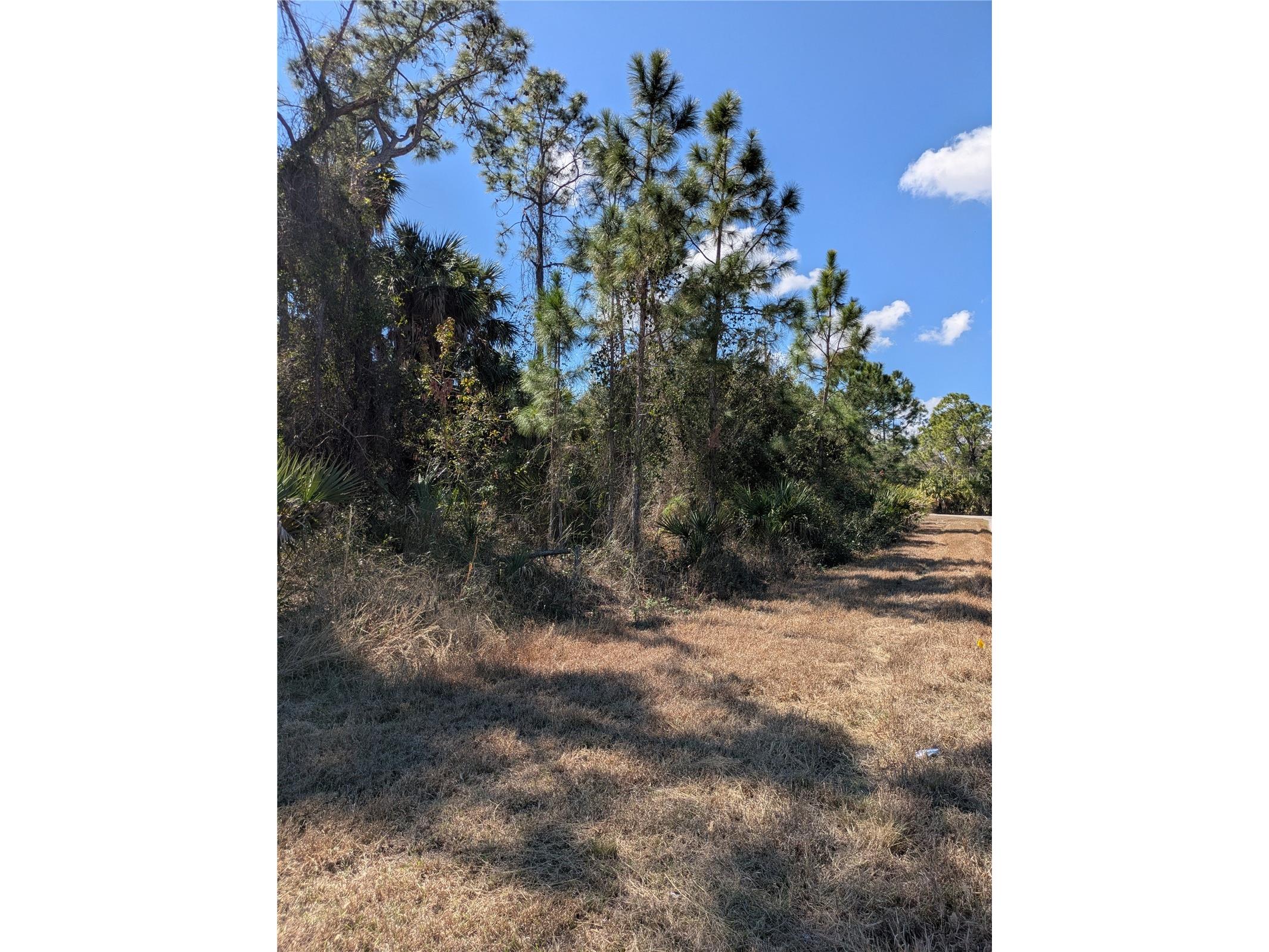 Bannock Circle North Port FL 34288 C7522333 image7