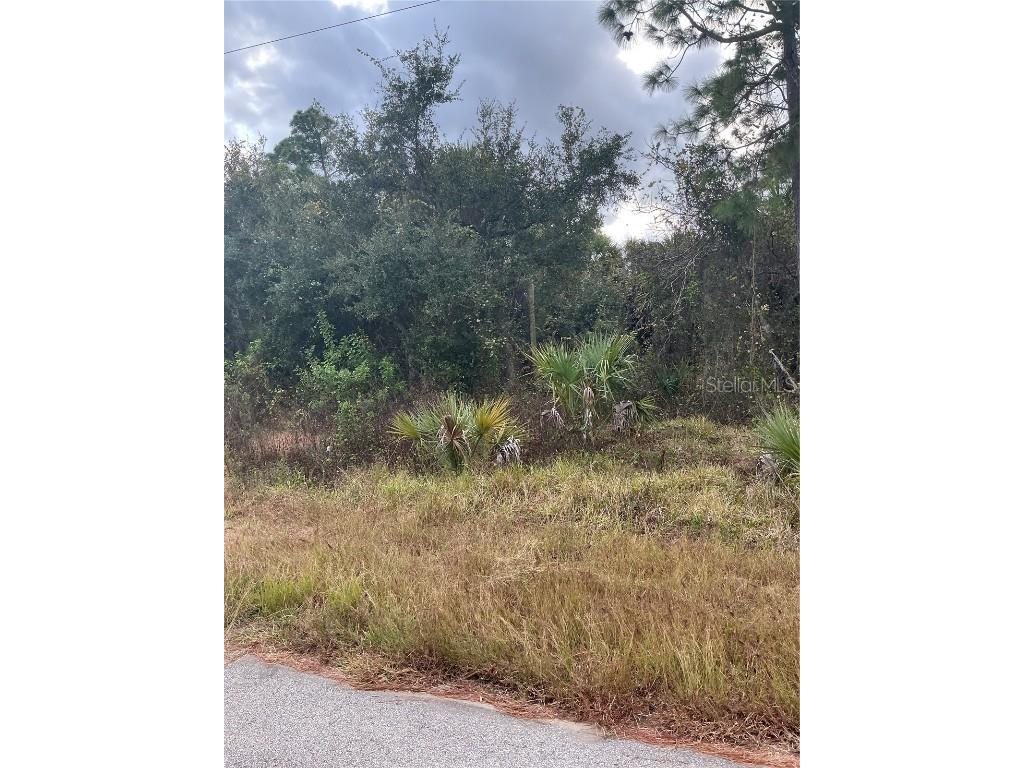 Bannock Circle North Port FL 34288 N6141750 image6