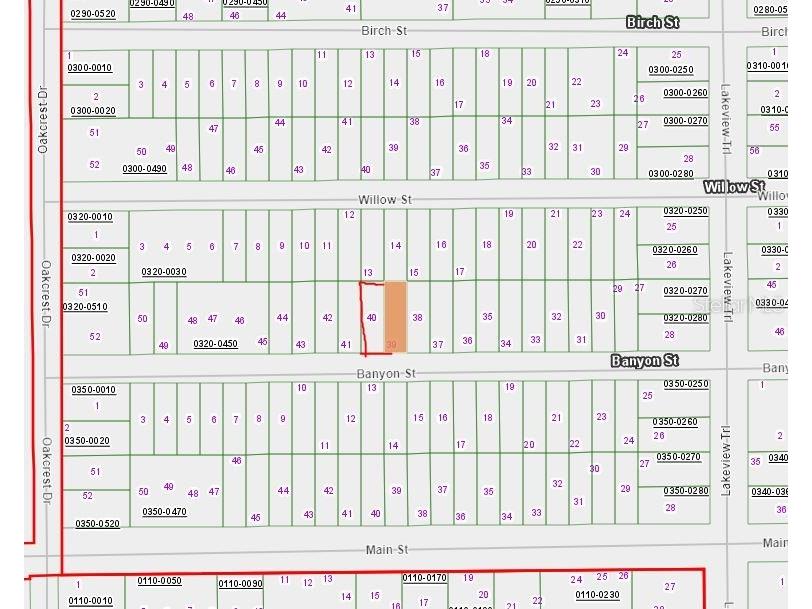 00 Banvon Interlachen FL 32148 OM634118 image1