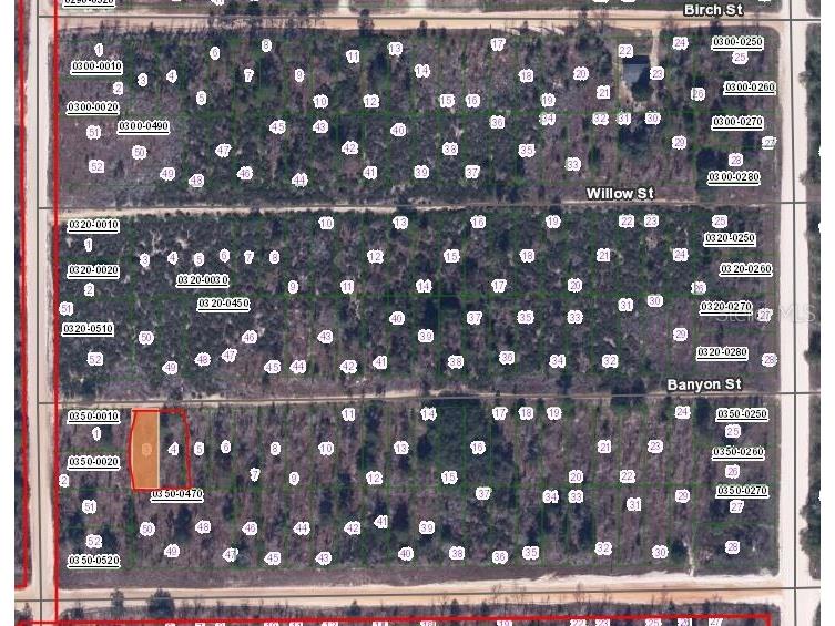 00 Banvon Interlachen FL 32148 OM647938 image2