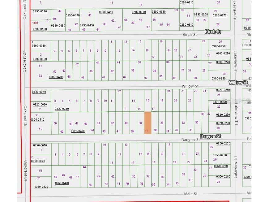 00 Banvon Street Interlachen FL 32148 OM633689 image1