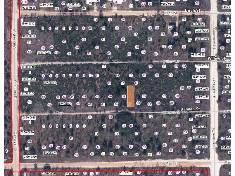 00 Banvon Street Interlachen FL 32148 OM633689 image2