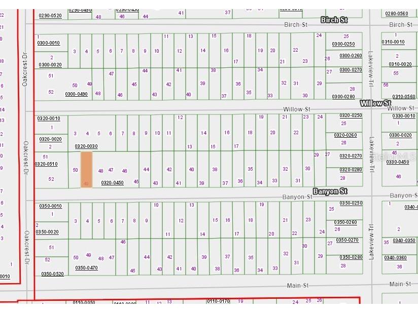 00 Banvon Street Interlachen FL 32148 OM634470 image1