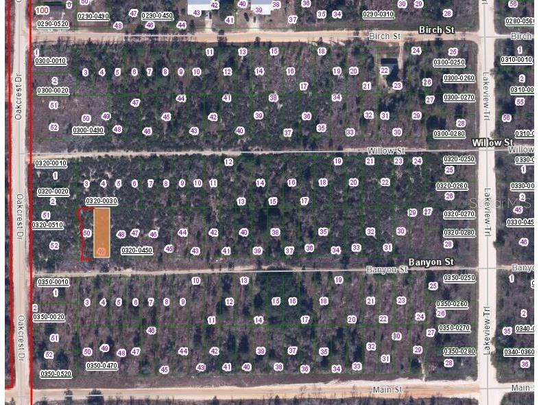 00 Banvon Street Interlachen FL 32148 OM634470 image2