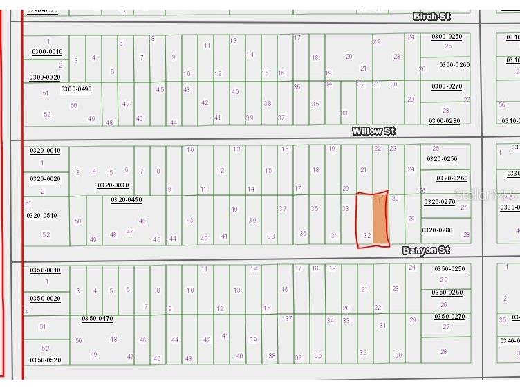 00 Banvon Street Interlachen FL 32148 OM646209 image1