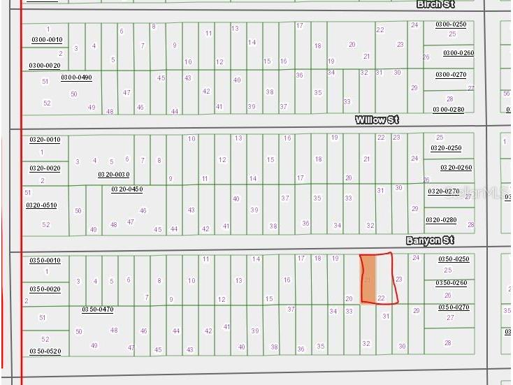 00 Banvon Street Interlachen FL 32148 OM650078 image1