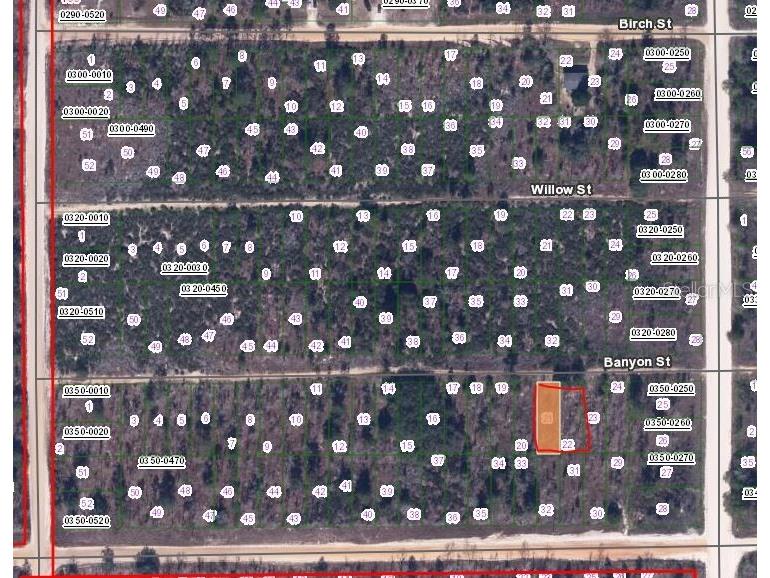 00 Banvon Street Interlachen FL 32148 OM650078 image2