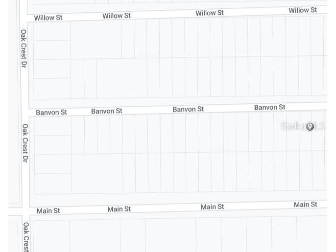 00 Banvon Street Interlachen FL 32148 OM650078 image3