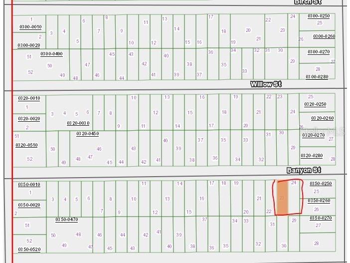 00 Banvon Street Interlachen FL 32148 OM650079 image1