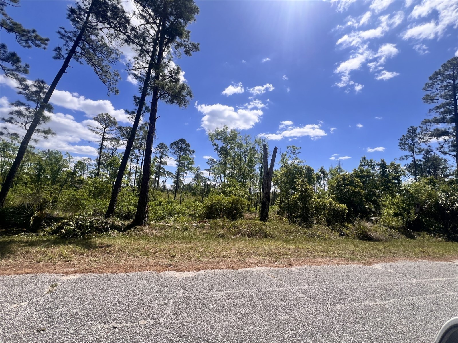 Banyan Street #UNIT NO. 1 Eustis FL 32736 - LAKE NORRIS LAKE MARION O6400802 image1