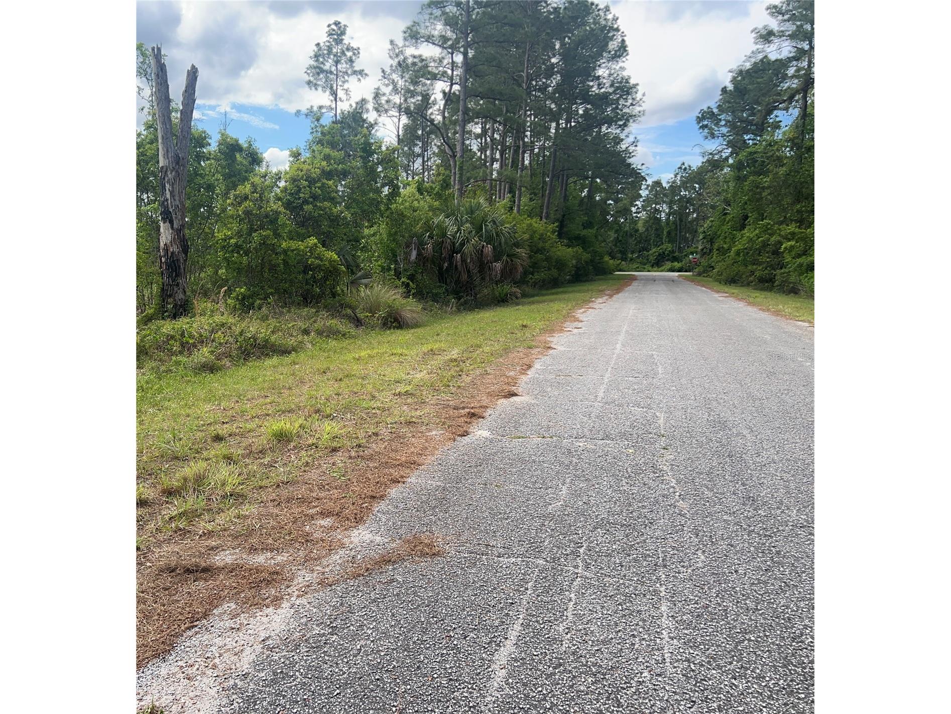 Banyan Street #UNIT NO. 1 Eustis FL 32736 - LAKE NORRIS LAKE MARION O6400802 image3