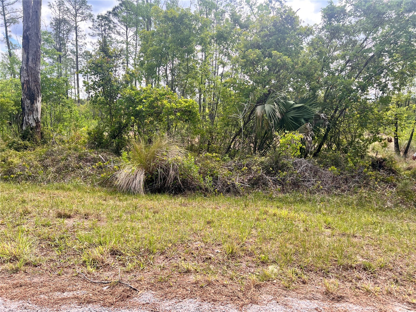 Banyan Street #UNIT NO. 1 Eustis FL 32736 - LAKE NORRIS LAKE MARION O6400802 image5