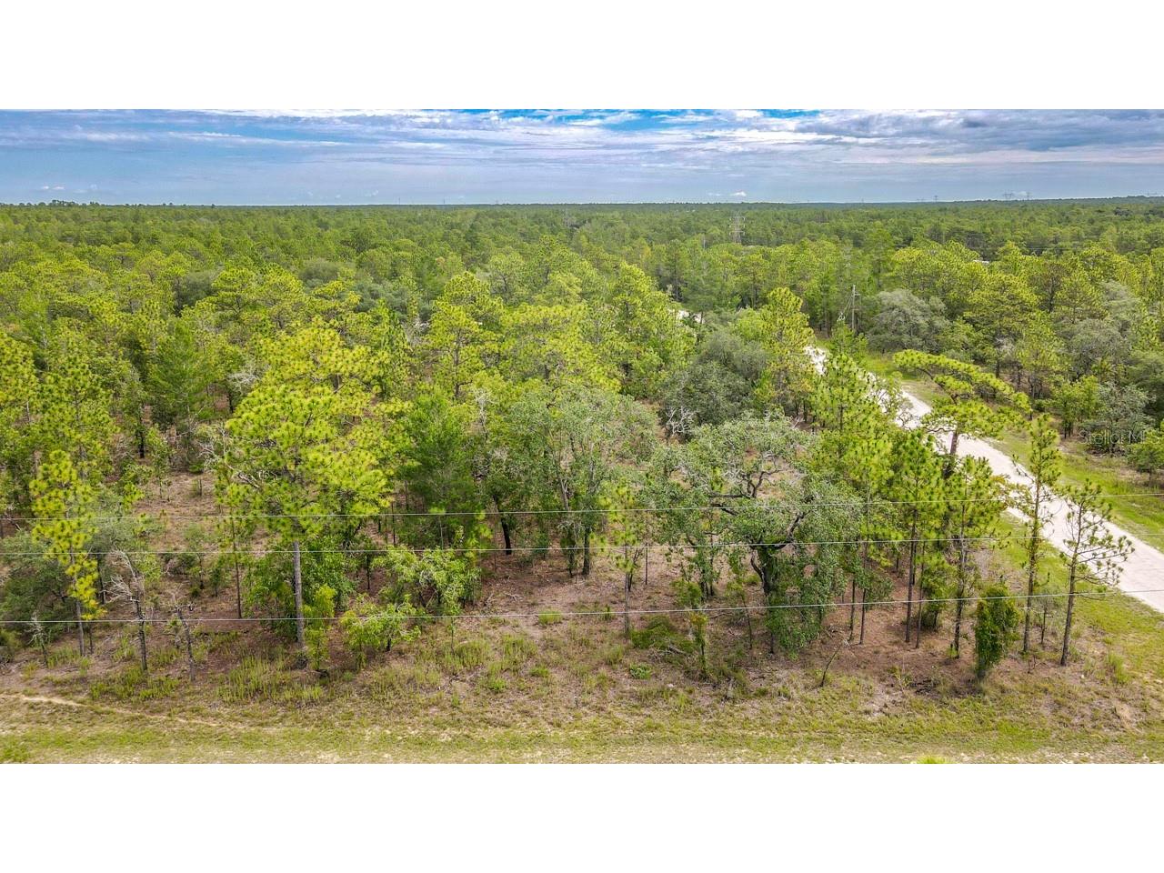 Barbara Court Brooksville FL 34614 T3534248 image1