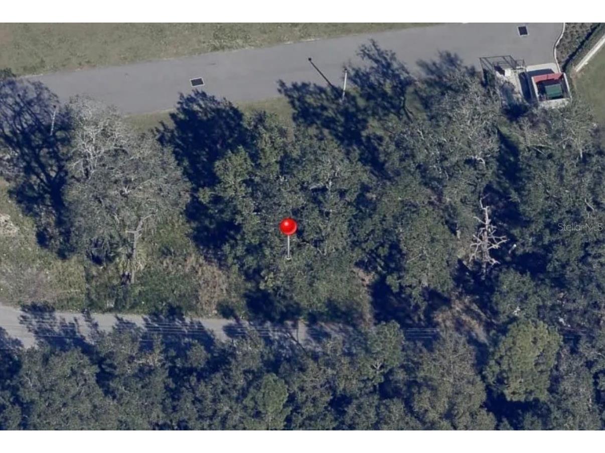 Barn Street Kissimmee FL 34744 S5143269 image2