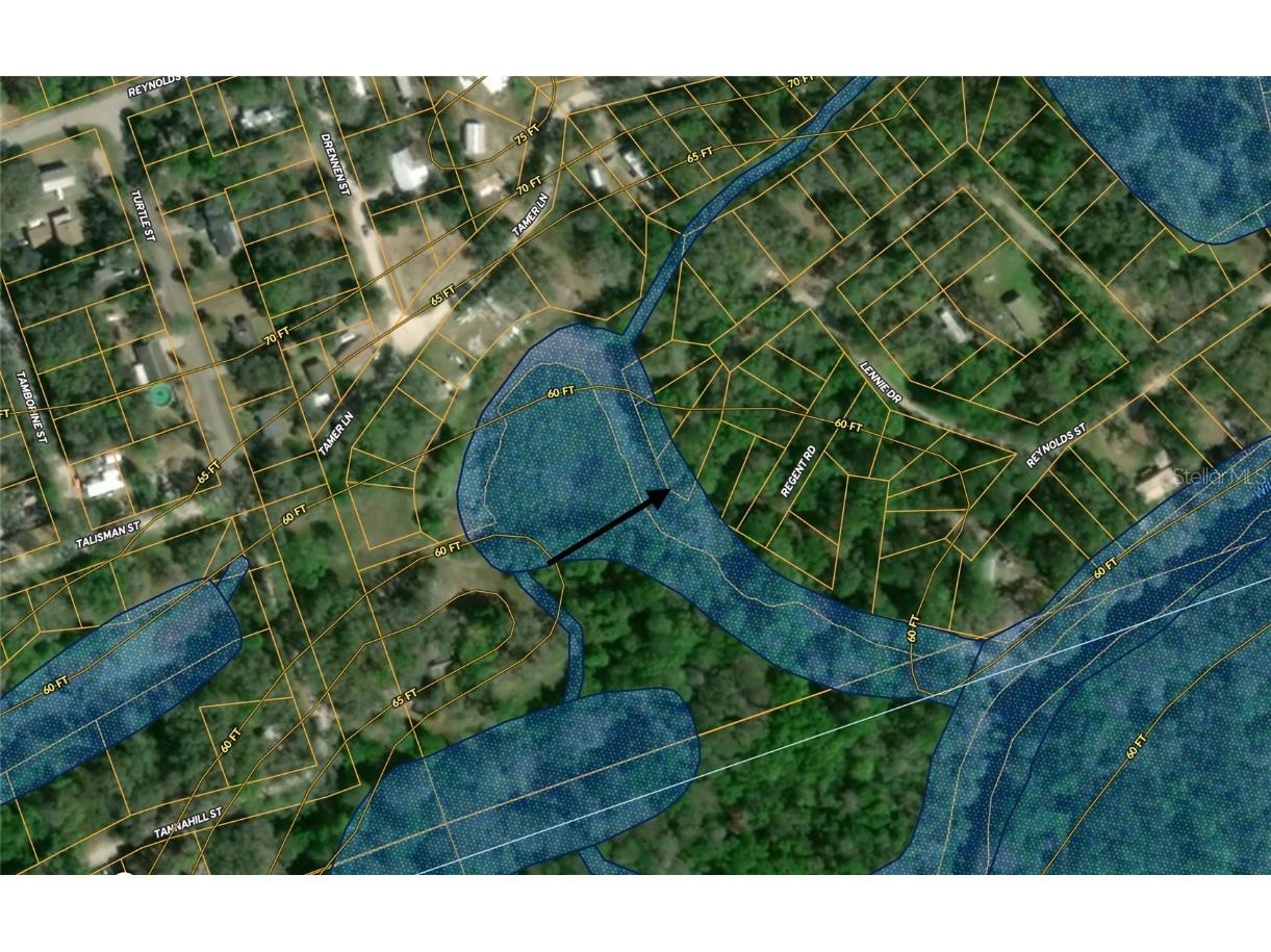 Barth Drive Dade City FL 33523 G5101740 image4