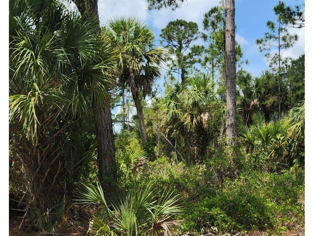 Basket Street North Port FL 34288 C7500523 image2