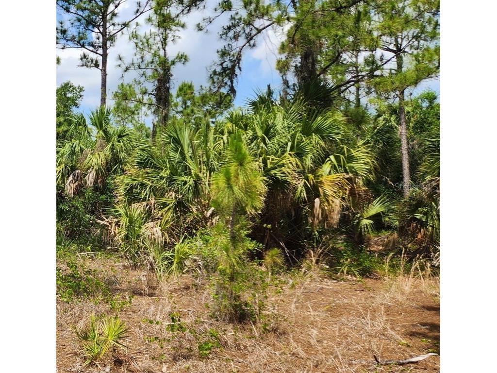 Basket Street North Port FL 34288 C7500523 image3