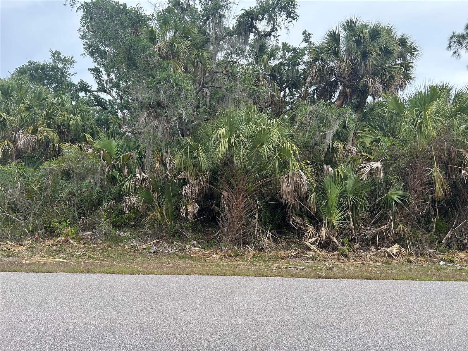 Basket Street North Port FL 34288 C7525056 image1