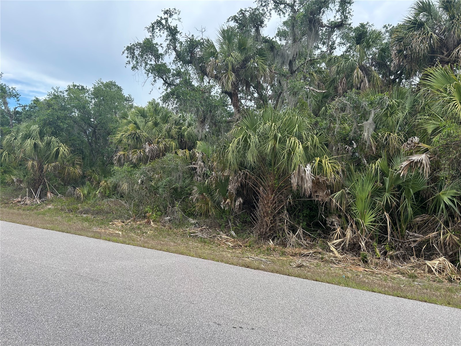 Basket Street North Port FL 34288 C7525056 image3