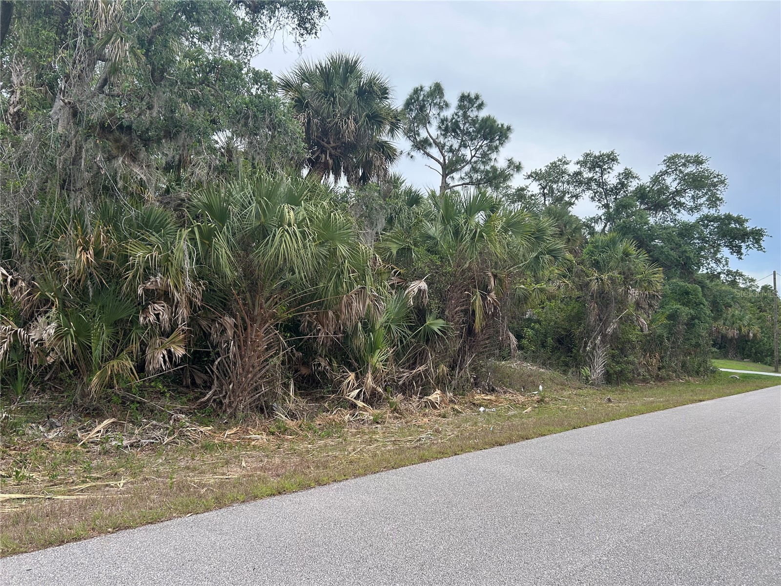 Basket Street North Port FL 34288 C7525056 image4
