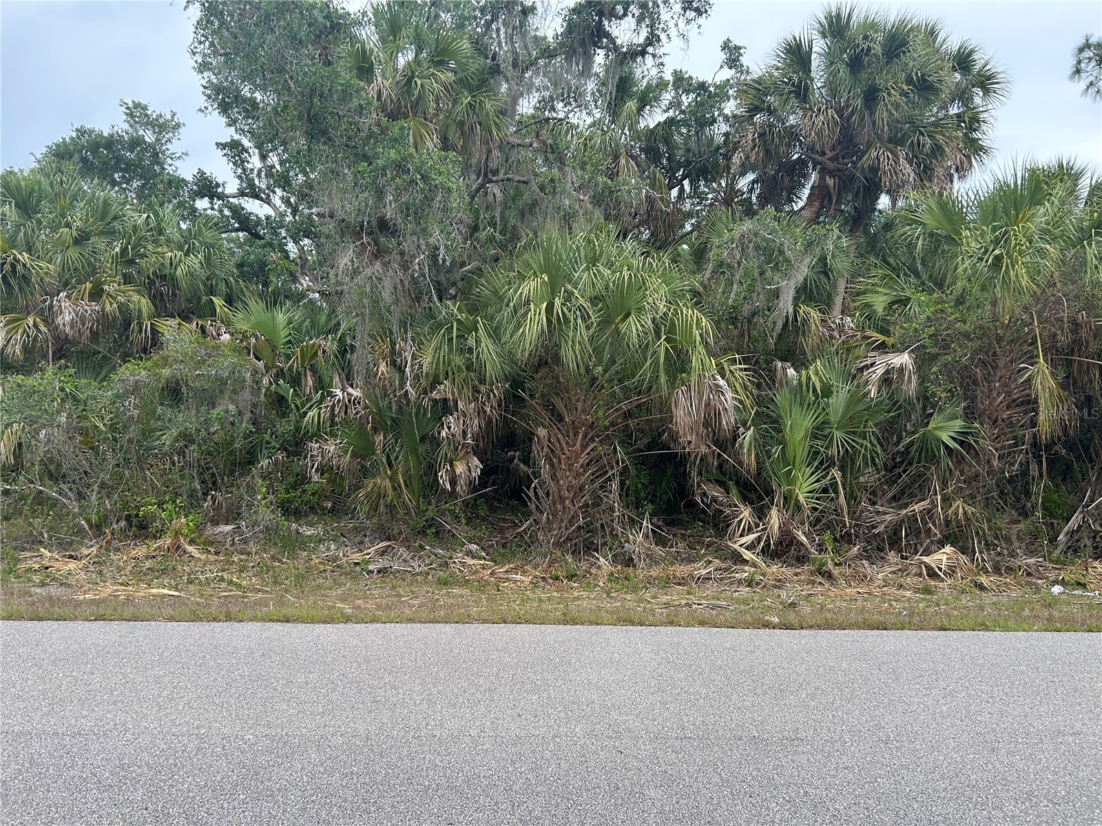 Basket Street North Port FL 34288 C7525056 image5