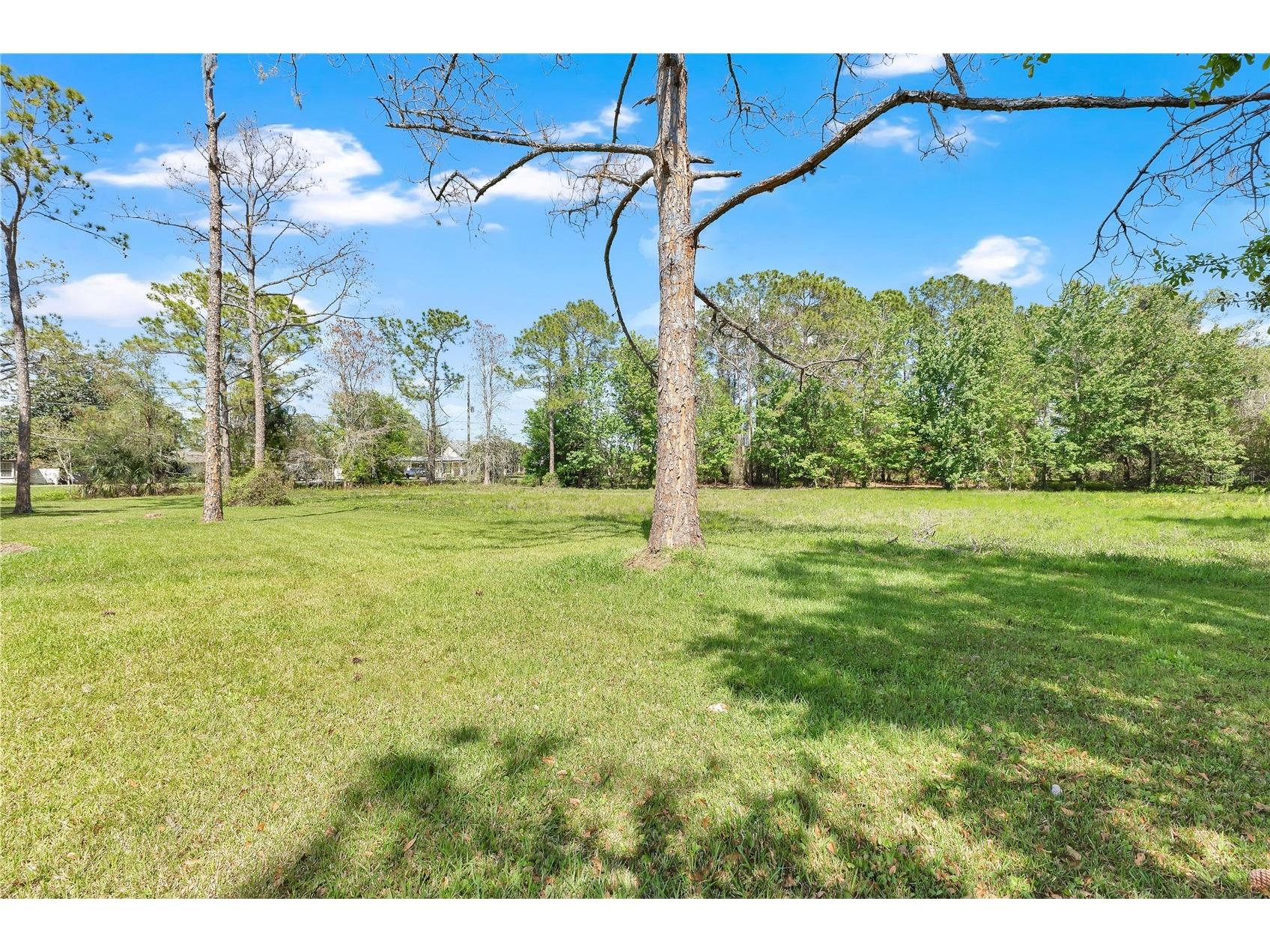 Bass Highway Saint Cloud FL 34771 - LAKE LIZZIE S5146133 image4