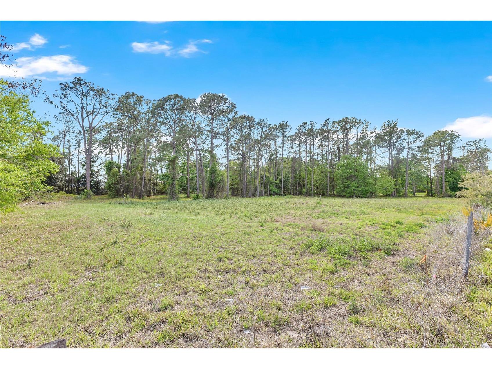 Bass Highway Saint Cloud FL 34771 - LAKE LIZZIE S5146133 image5