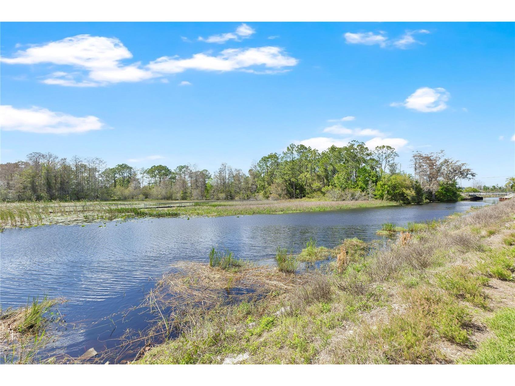 Bass Highway Saint Cloud FL 34771 - LAKE LIZZIE S5146133 image6