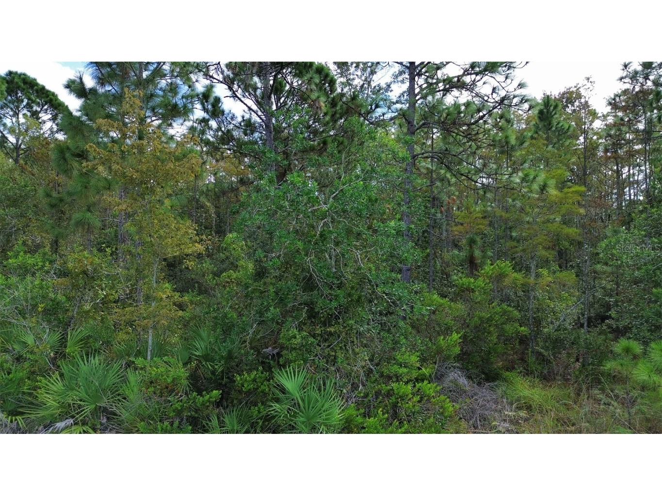 Bassett Avenue Orlando FL 32833 O6350450 image10