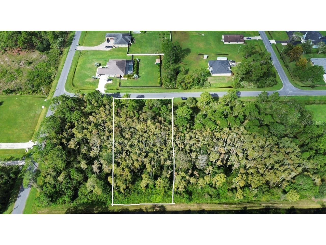 Bassett Avenue Orlando FL 32833 O6350450 image4