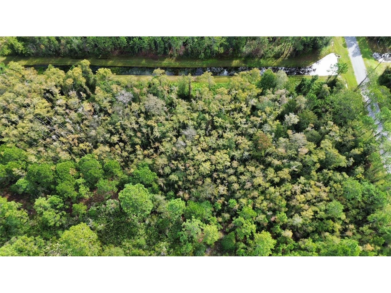 Bassett Avenue Orlando FL 32833 O6350450 image5