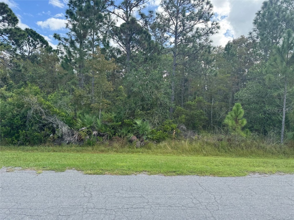 Bassett Avenue Orlando FL 32833 O6350450 image6