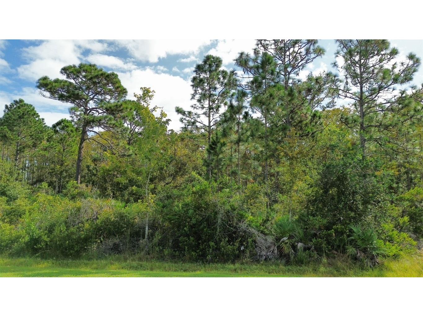 Bassett Avenue Orlando FL 32833 O6350450 image7