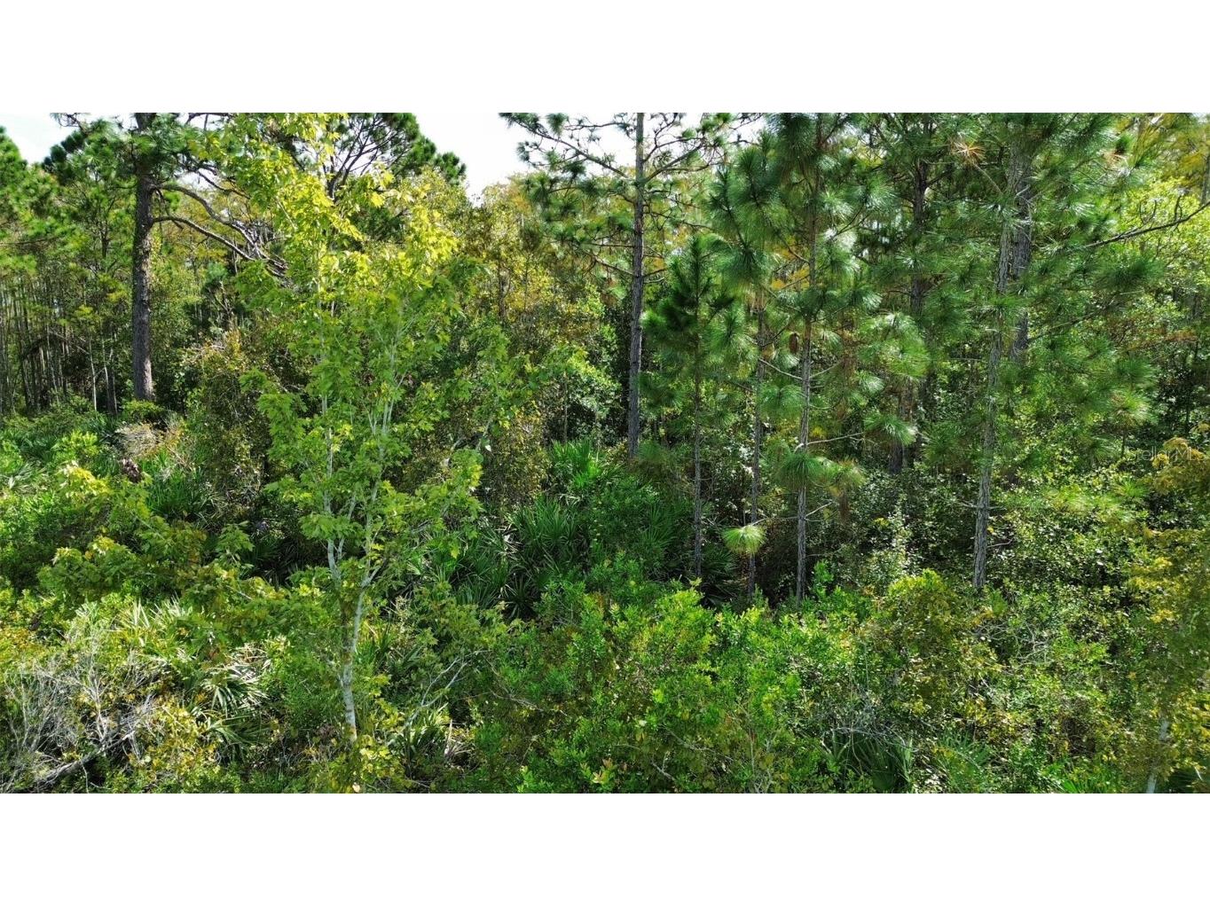 Bassett Avenue Orlando FL 32833 O6350450 image8