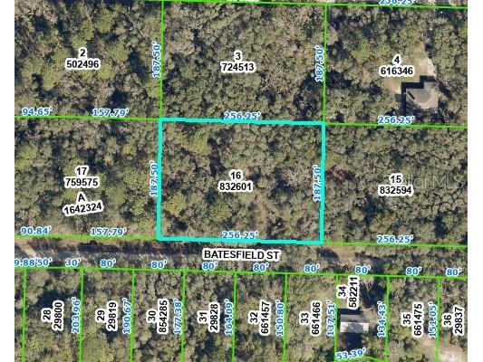 Batesfield Street Webster FL 33597 T3439042 image1