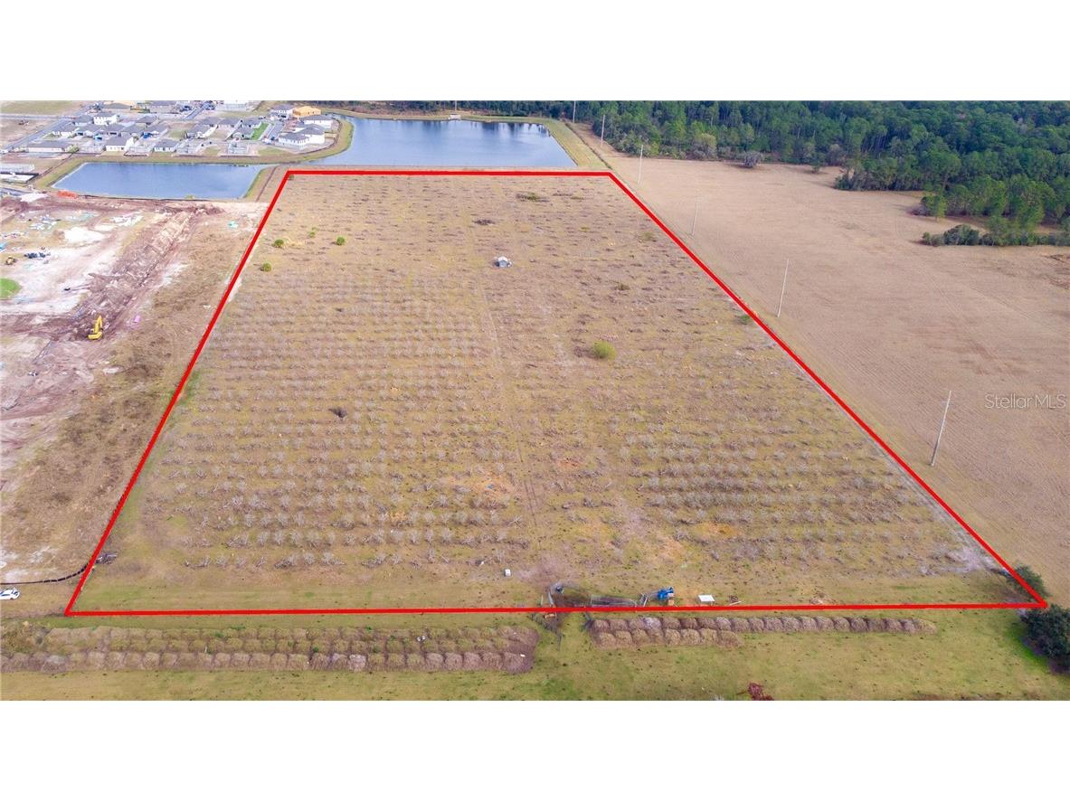 Baton Saint Cloud FL 34771 O5923352 image1