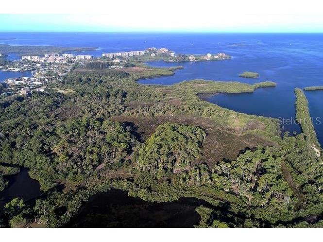 Bay Blvd Port Richey FL 34668 - GULF OF AMERICA TREASURE COVE W7884727 image1