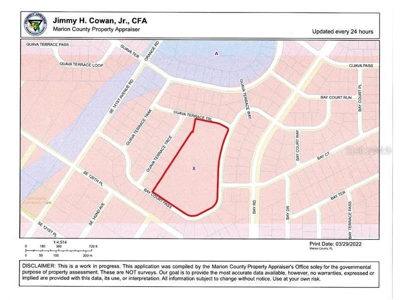 Bay Court Pass Ocklawaha FL 32179 OM692063 image1