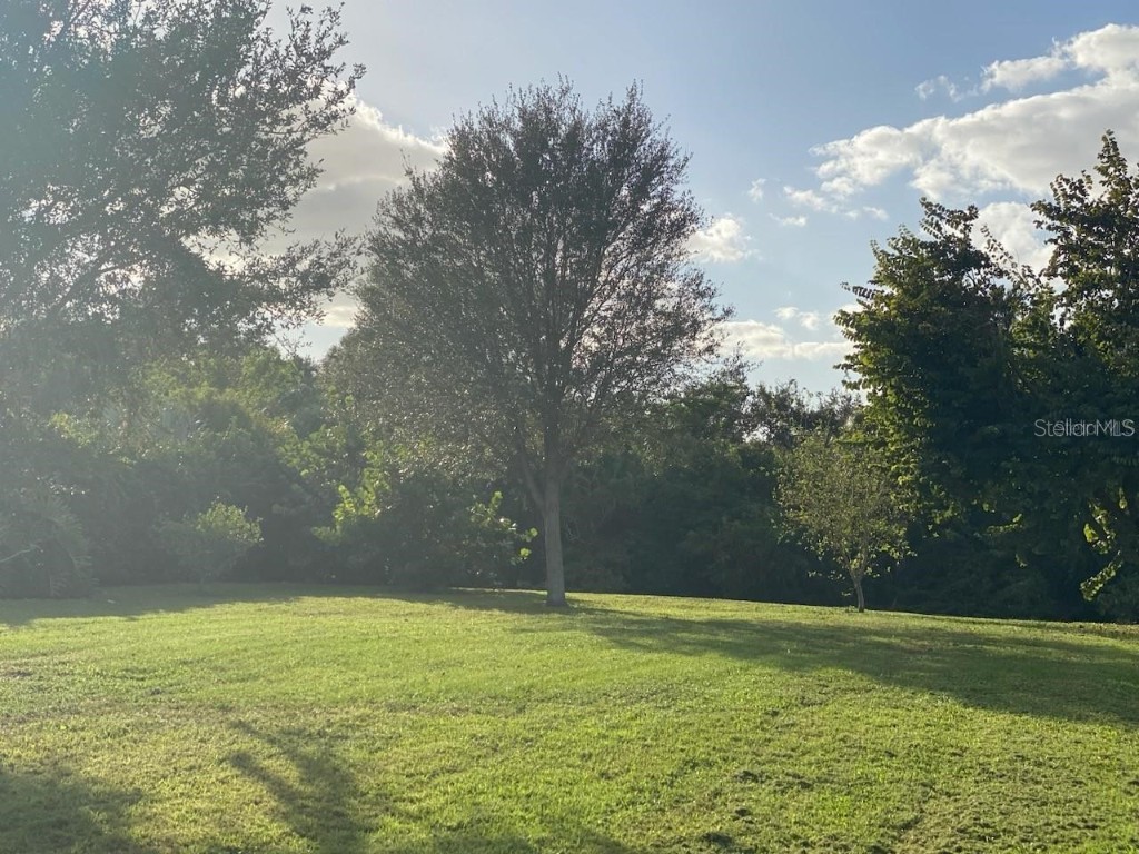 Bay Dr Gibsonton FL 33534 - ALAFIA RIVER TO TAMPA BAY TB8417013 image13