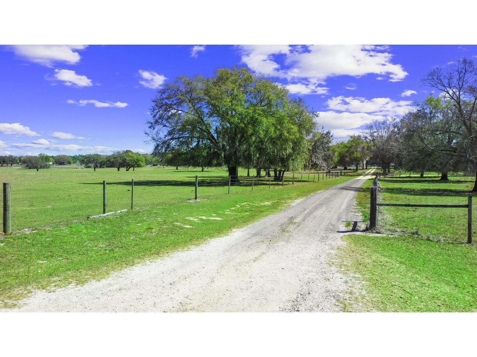 Bay Lake Road Groveland FL 34736 O6388058 image11