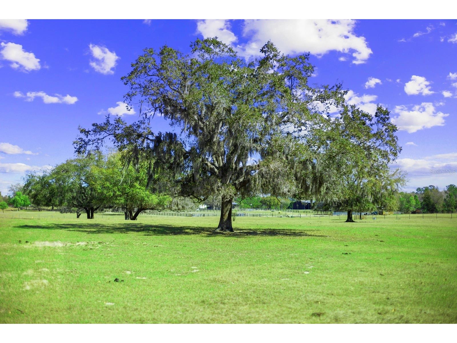 Bay Lake Road Groveland FL 34736 O6388058 image19