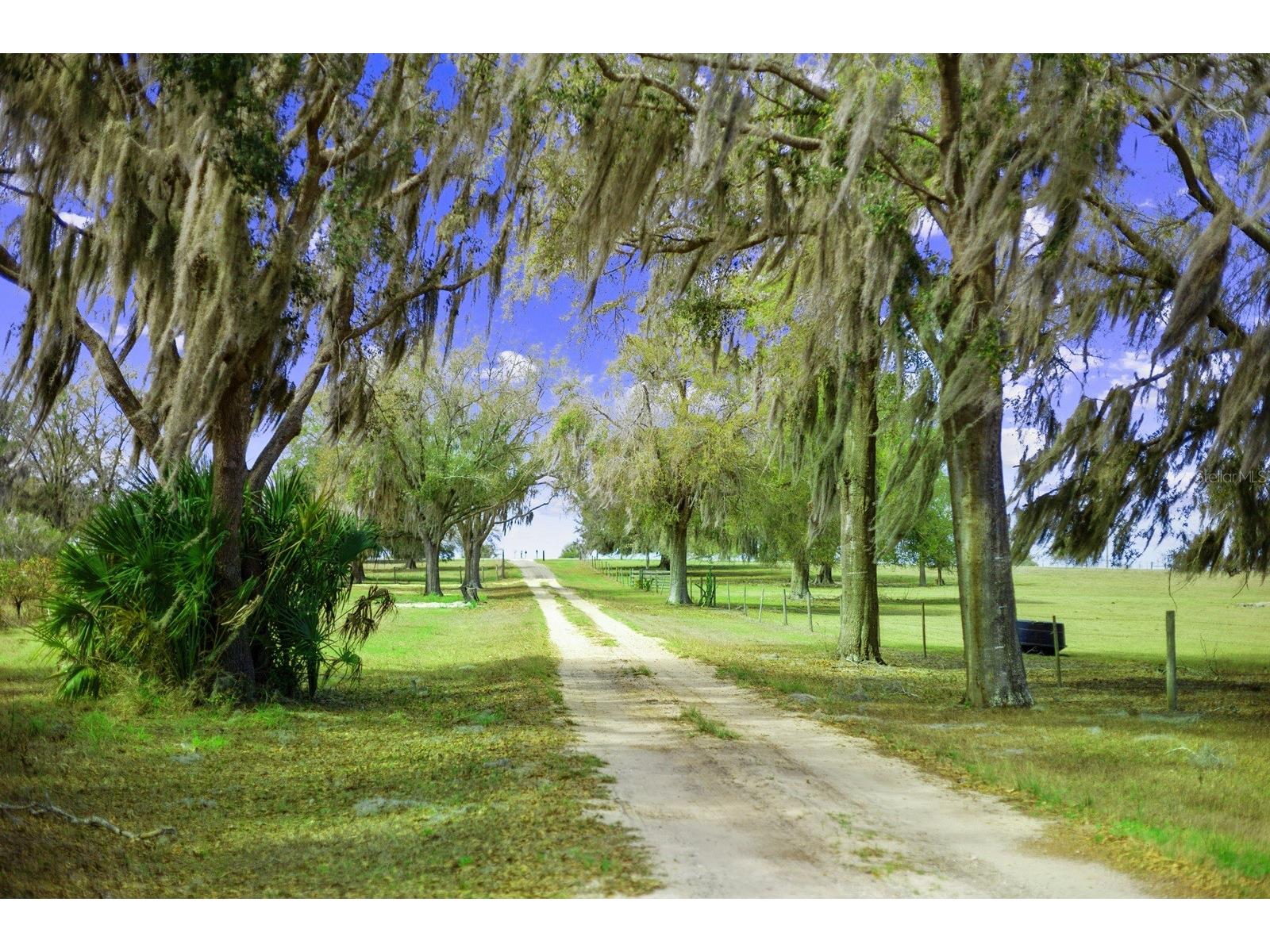 Bay Lake Road Groveland FL 34736 O6388058 image2