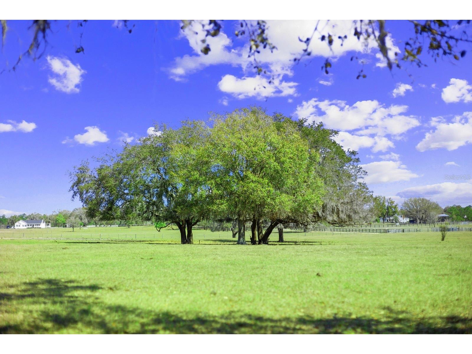 Bay Lake Road Groveland FL 34736 O6388058 image20