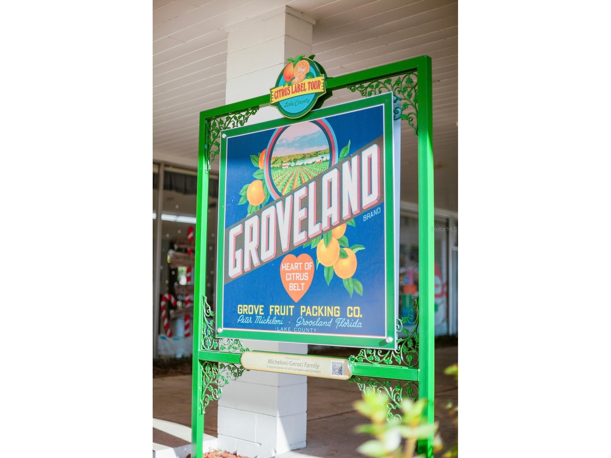 Bay Lake Road Groveland FL 34736 O6388058 image21