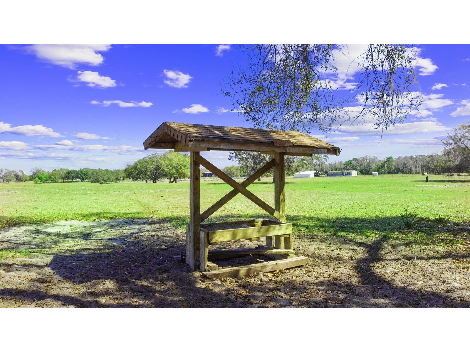 Bay Lake Road Groveland FL 34736 O6388058 image5