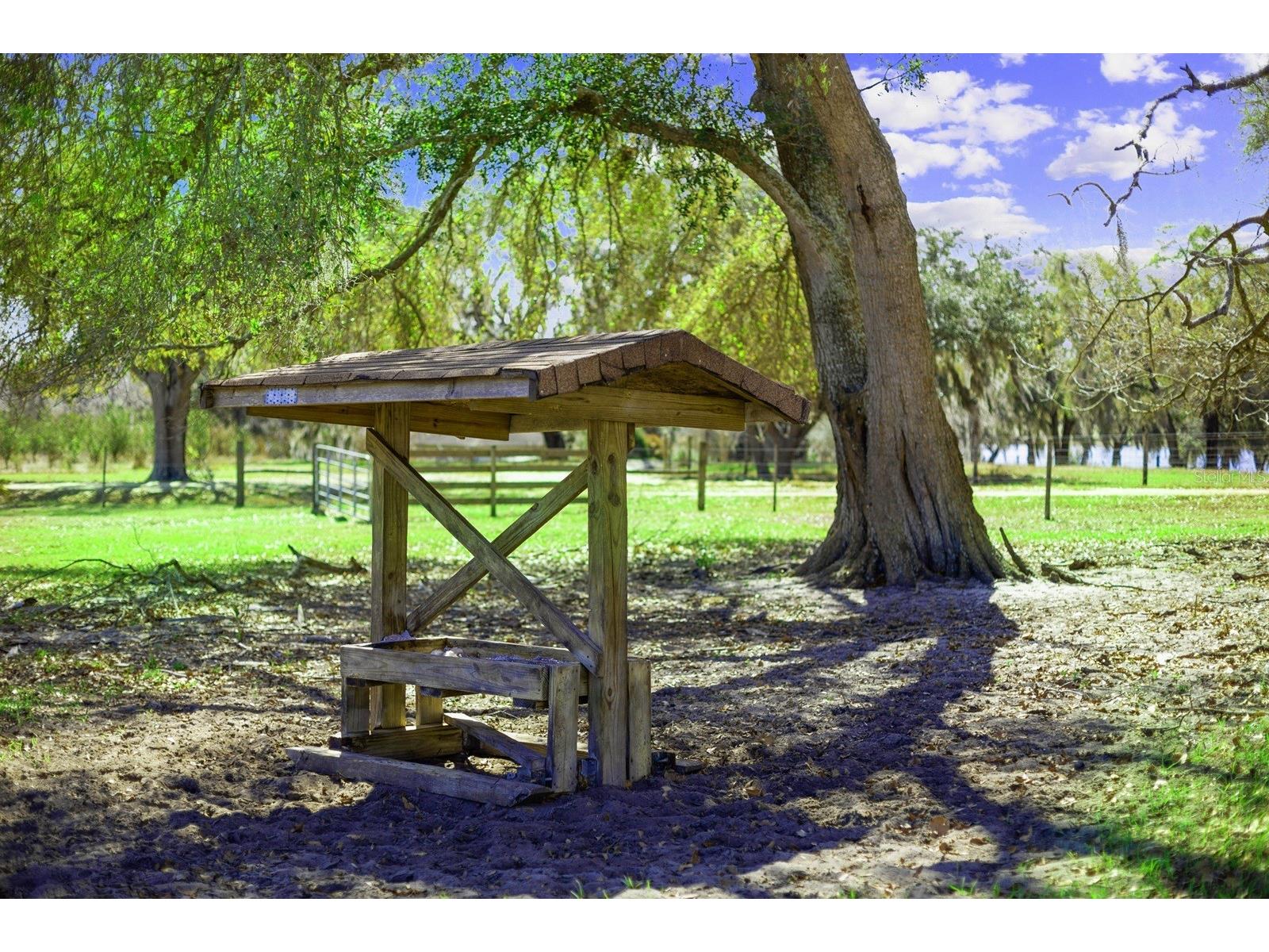 Bay Lake Road Groveland FL 34736 O6388058 image7