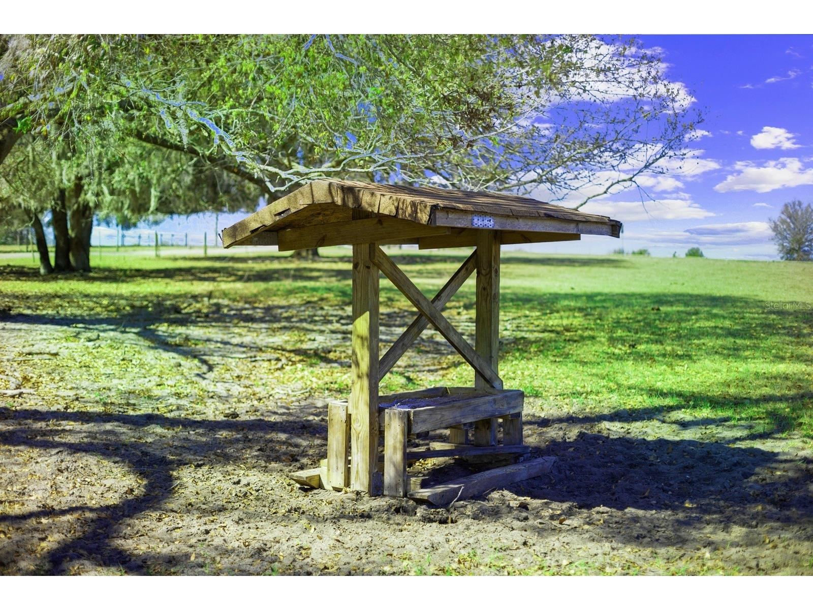 Bay Lake Road Groveland FL 34736 O6388058 image9