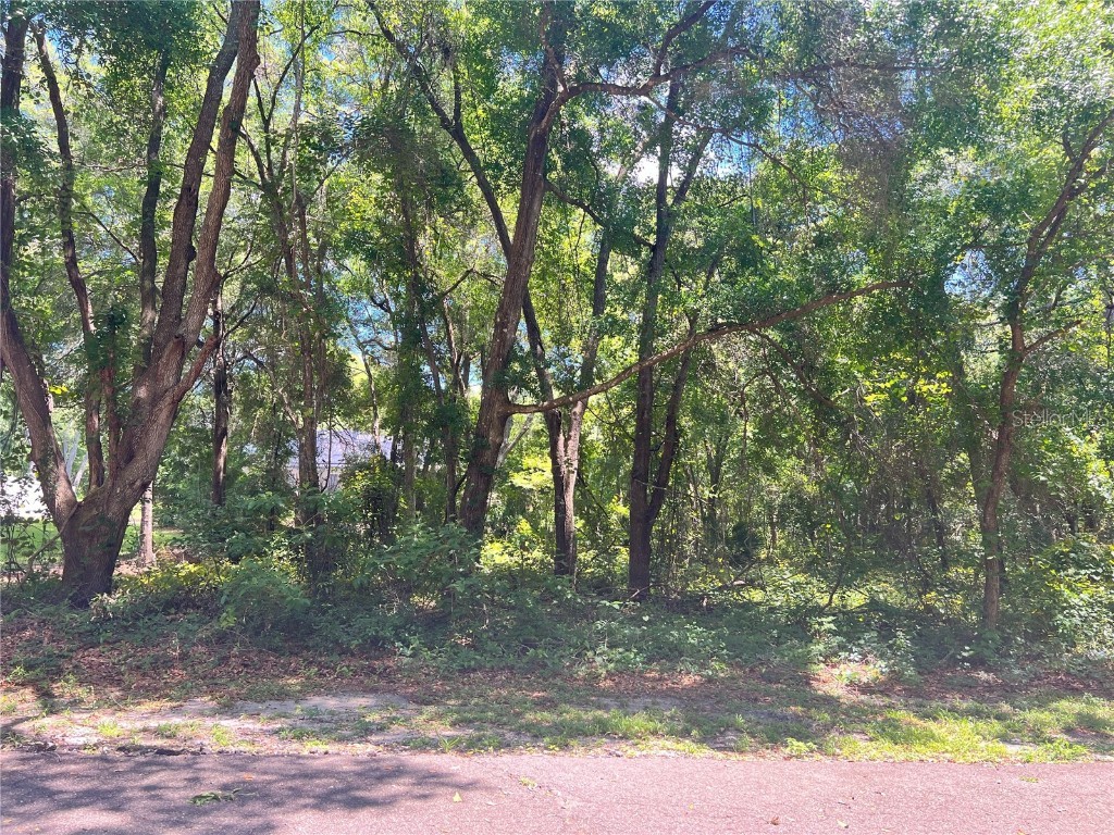 Bay Pass Ter Ocklawaha FL 32179 OM677793 image1