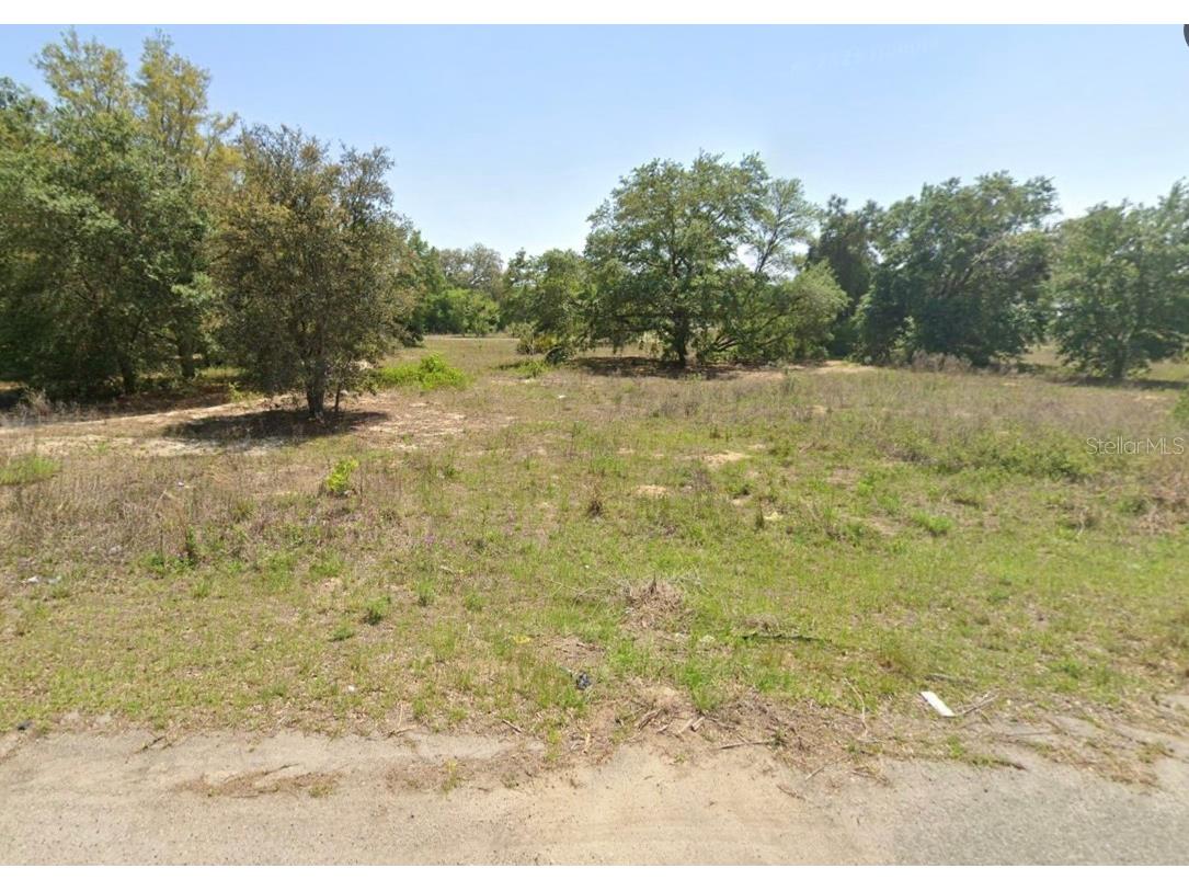 Bay Place Court Ocklawaha FL 32179 W7879096 image1